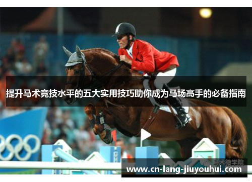 提升马术竞技水平的五大实用技巧助你成为马场高手的必备指南